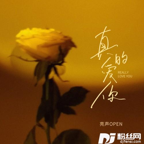 真的爱你（温馨版）的专辑