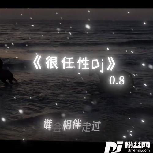 很任性DJ（0.8x）