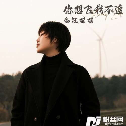 你想飞我不追的专辑