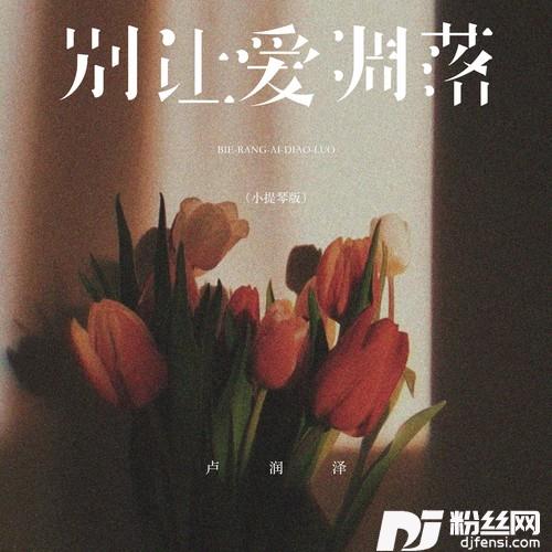 别让爱凋落小提琴版的专辑
