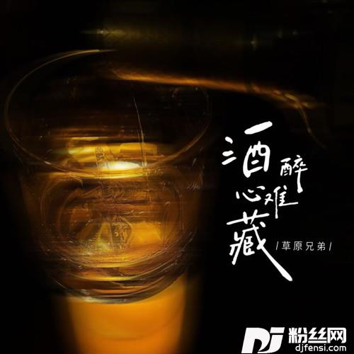 酒醉心难藏我不敢把酒倒满的专辑