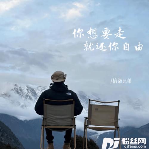 你想要走就还你自由