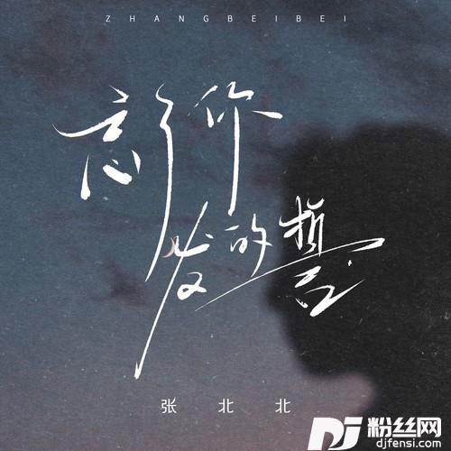 忘了你发的誓的专辑