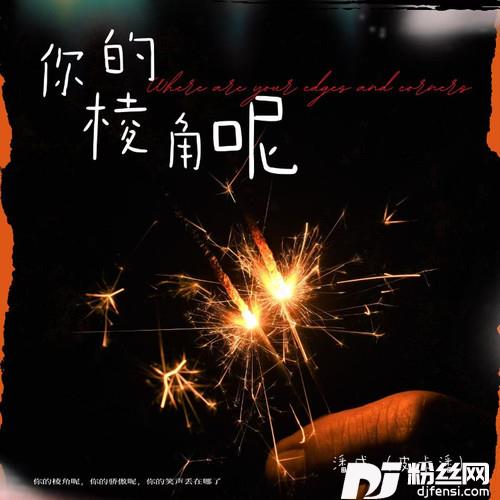 你的棱角呢的专辑