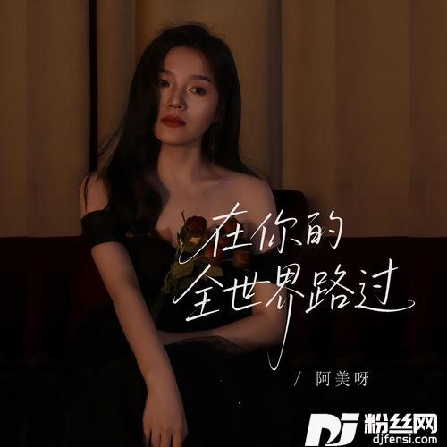 在你的全世界路过