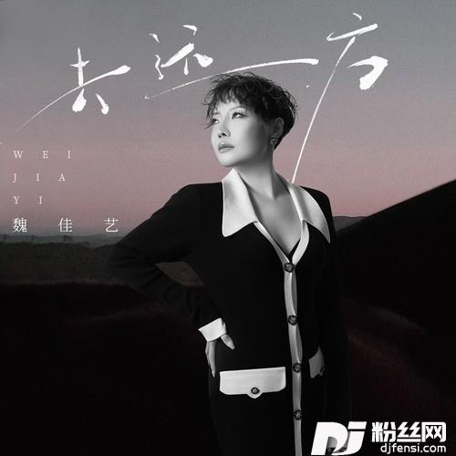 去远方