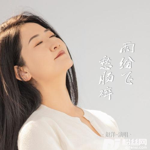 雨纷飞愁肠碎的专辑