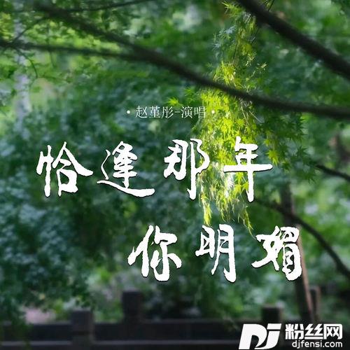 恰逢那年你明媚的专辑