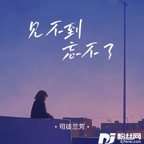 见不到忘不了