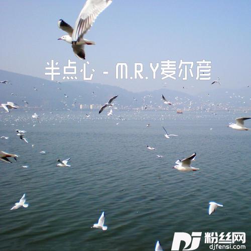 半点心DJ版的专辑