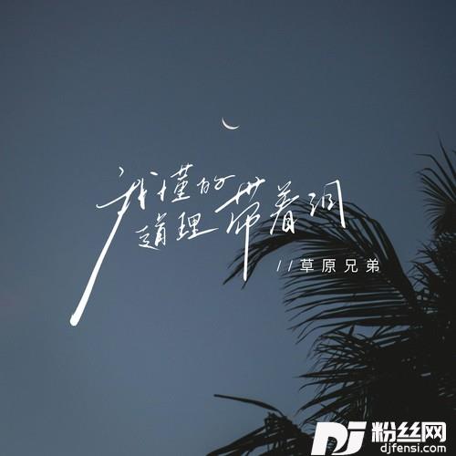 我懂的道理带着泪的专辑