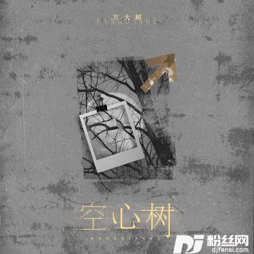 空心树