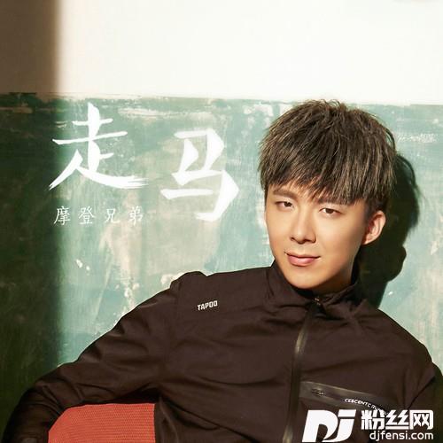 走马的专辑