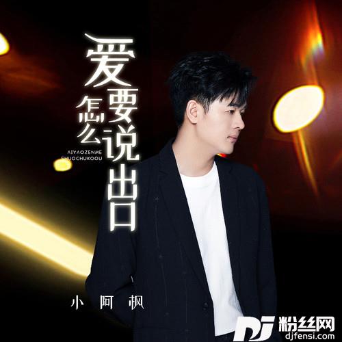 爱要怎么说出口的专辑
