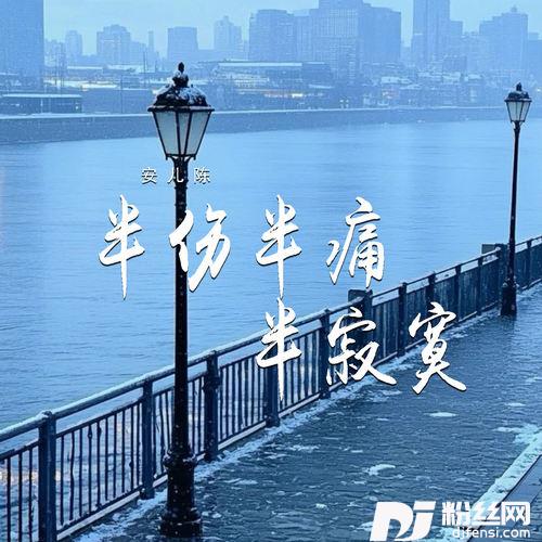 半伤半痛半寂寞