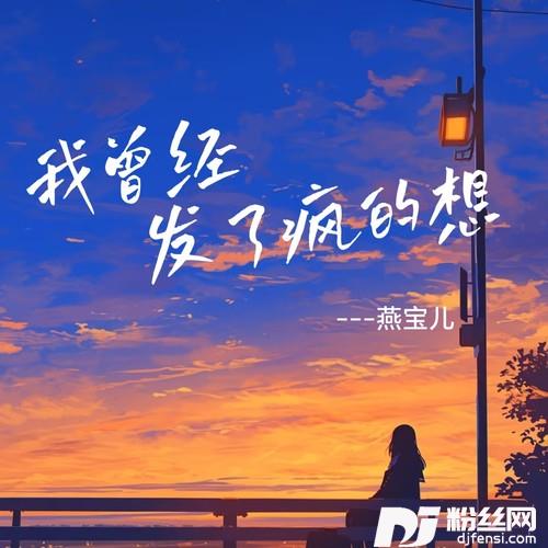 我曾经发了疯的想