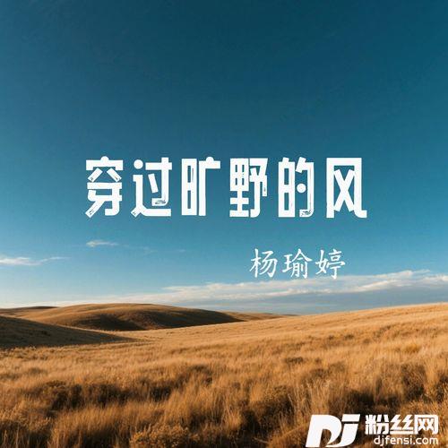 穿过旷野的风