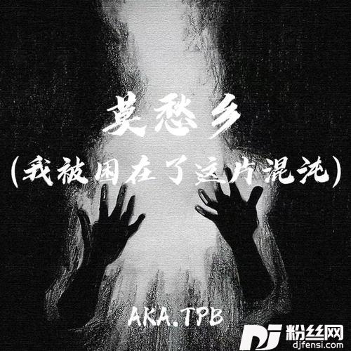 莫愁乡我被困在了这片混沌的专辑