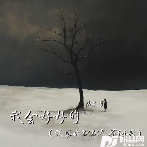 我会好好的我要你默默走不回头的专辑