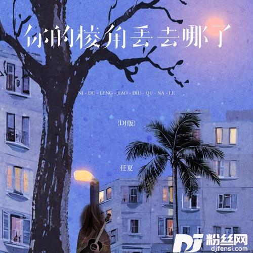 你的棱角丢去哪了DJ版