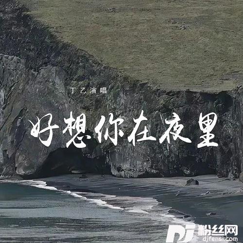 好想你在夜里的专辑