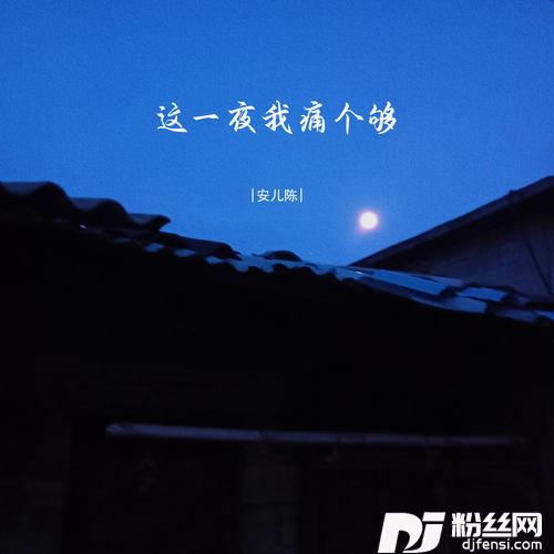 这一夜我痛个够