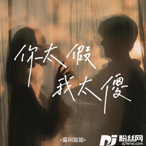 你太假我太傻的专辑