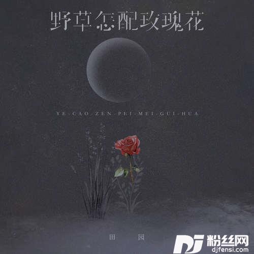 野草怎配玫瑰花