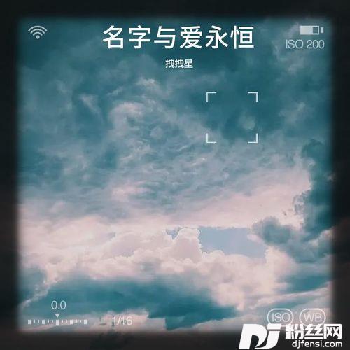绽放落叶的专辑