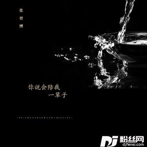 你说会陪我一辈子动感版的专辑