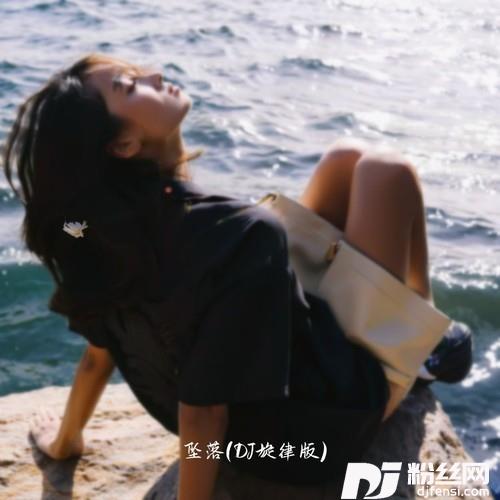 坠落DJ旋律版的专辑