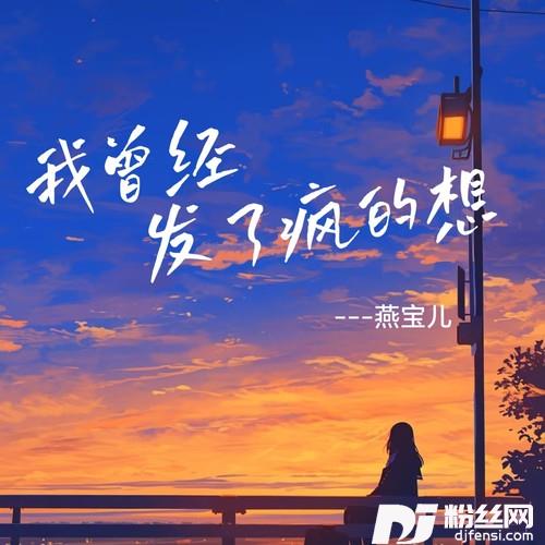我曾经发了疯的想DJ慢摇版