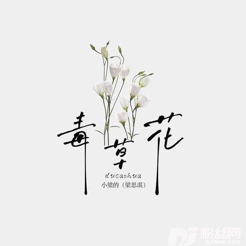 毒草花DJ版的专辑