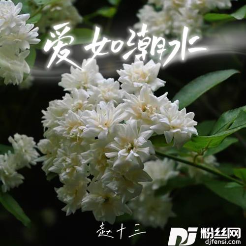 爱如潮水的专辑