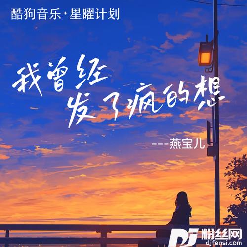 我曾经发了疯的想（dj豪大大版）