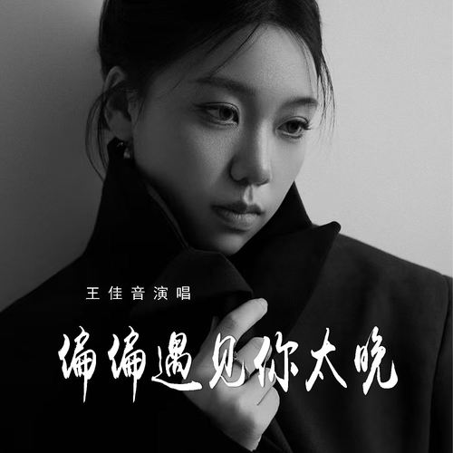 偏偏遇见你太晚的专辑