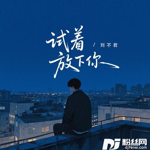 试着放下你