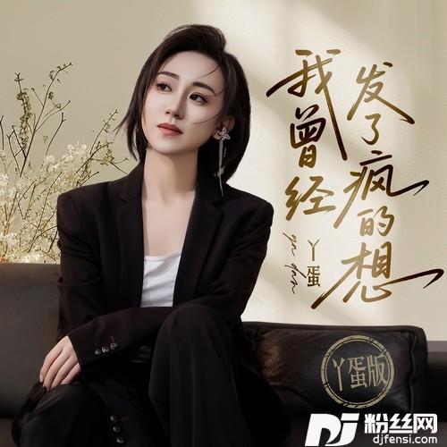 我曾经发了疯的想DJ沈念版的专辑