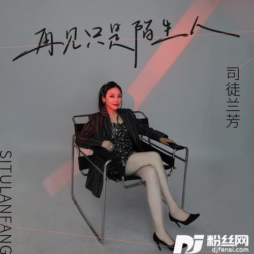 再见只是陌生人