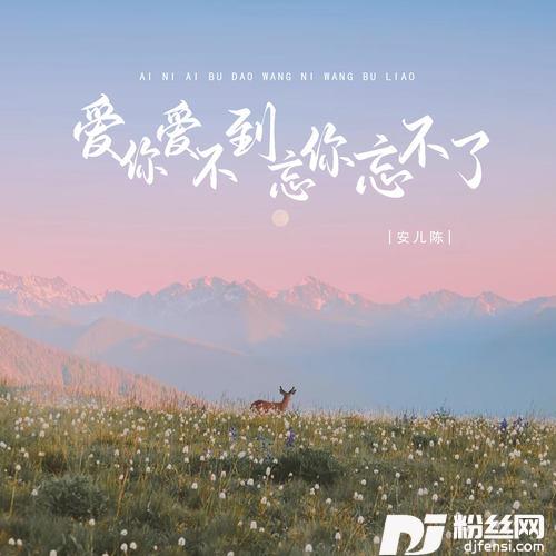 爱你爱不到忘你忘不了