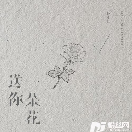 送你一朵花