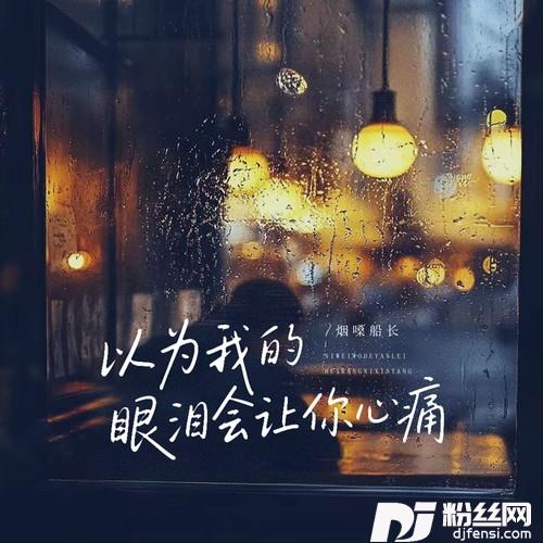 以为我的眼泪会让你心痛DJ阿尼版