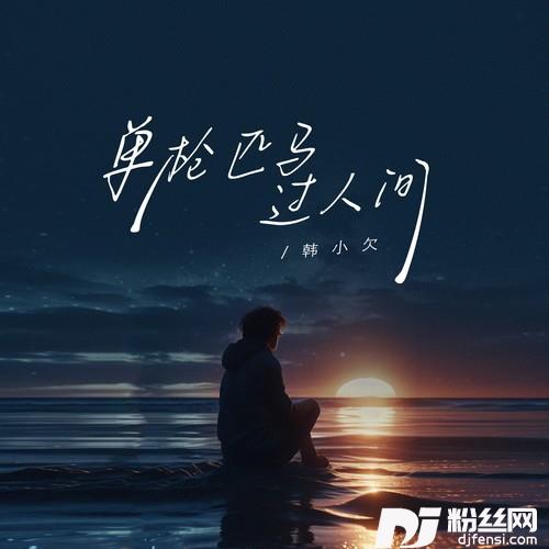 单枪匹马过人间的专辑