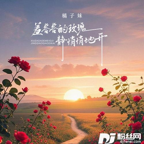 羞答答的玫瑰静悄悄地开的专辑