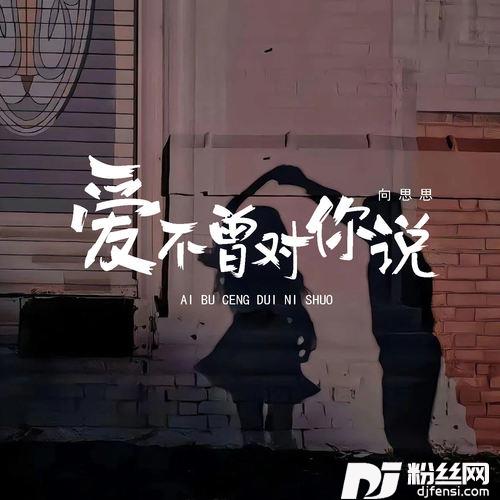 爱不曾对你说