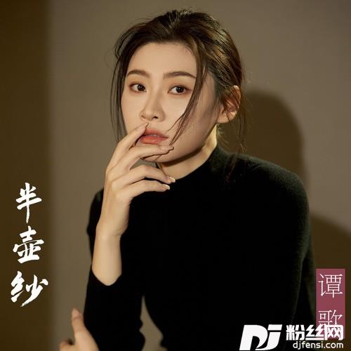 半壶纱