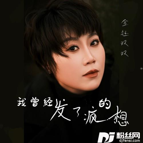 我曾经发了疯的想的专辑