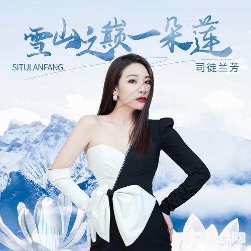 雪山之巅一朵莲的专辑