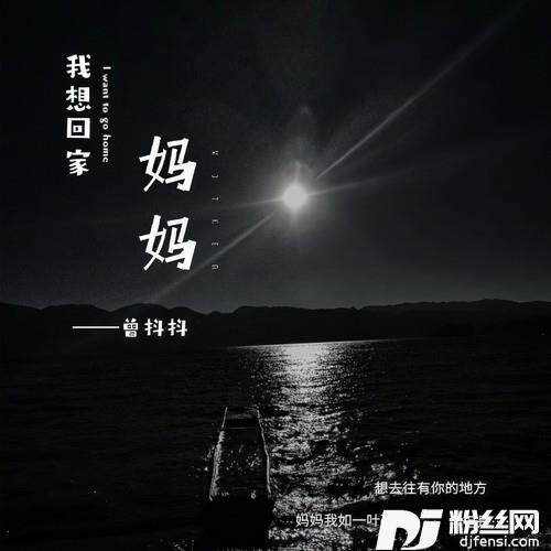 妈妈我想回家的专辑