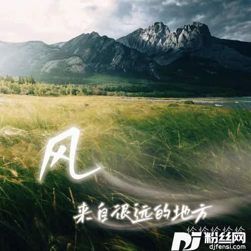 风来自很远的地方